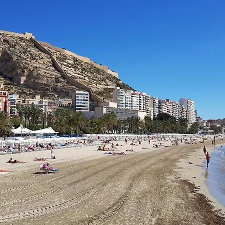 Atico Cesar Elguezabal *